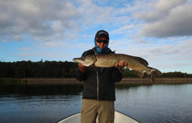 66f49a9146181a39gen.jpg?t=1476741088