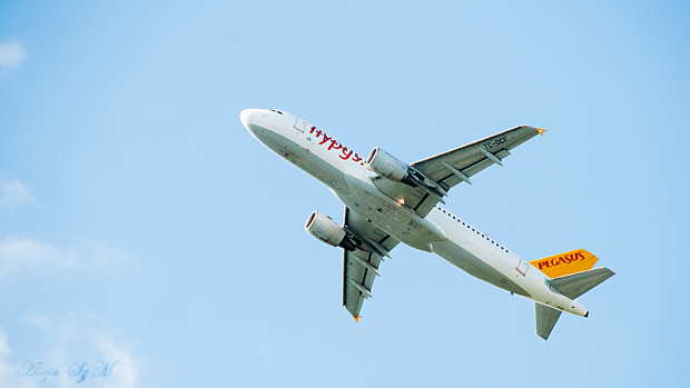 Pegasus Airlines – tureckie linie lotnicze z siedzibą w Stambule