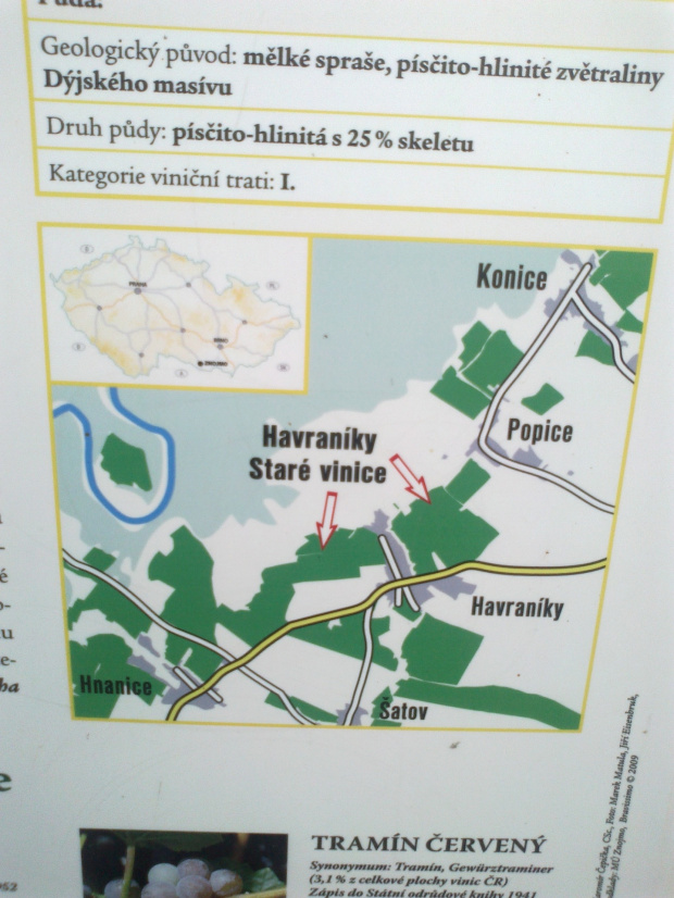 mapa winnicy