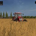 FS 17, jak szybko zarobic, fs17 autoload, wejdz, http://fanifarmingsimulator17.pl/tag/farming-simulator-2017-spolszczenie/.