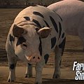 farming simulator 17 , fs 17 free download, fs 17 cdp, wejdz, http://fanifarmingsimulator17.pl/tag/farming-simulator-2017-download/.