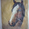 sprzedam obraz przedstawiający konia, malowany na płótnie, wymiary 65 x 50, cena 350 zł