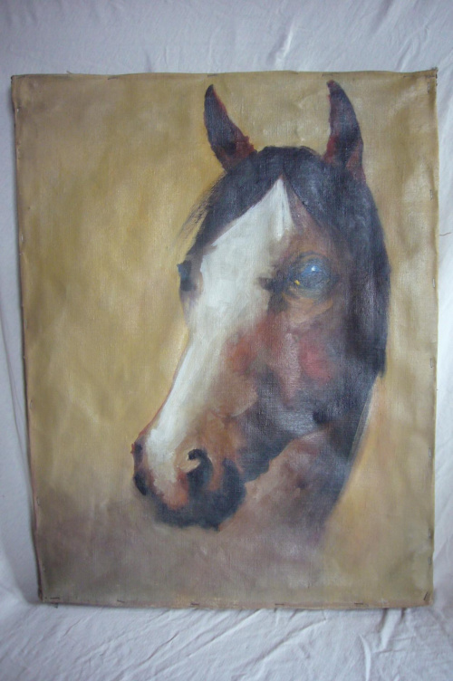 sprzedam obraz przedstawiający konia, malowany na płótnie, wymiary 65 x 50, cena 350 zł