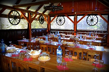 winnica podkarpackie, wino, Dolina Sanu, winnica Dolina Sanu #kie #wino #DolinaSanu #WinnicaDolinaSanu