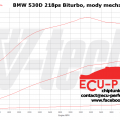 BMW e60 218ps byl LukBMW & ECU-Perfect