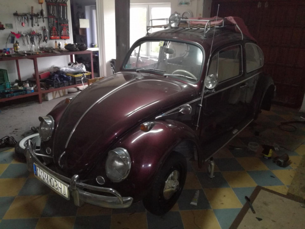 VW Beetle 1966_5