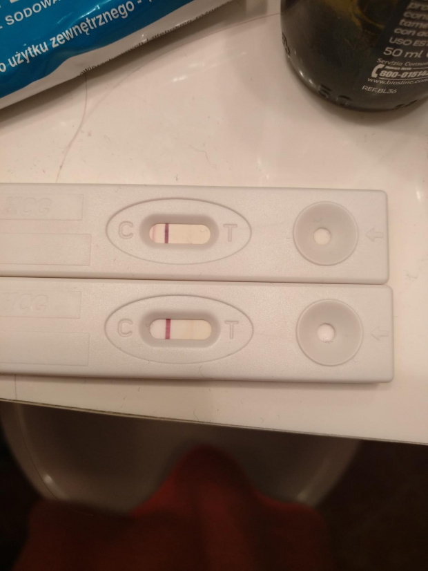 górny 14.02 (12dpo), dolny 16.02 (14dpo)